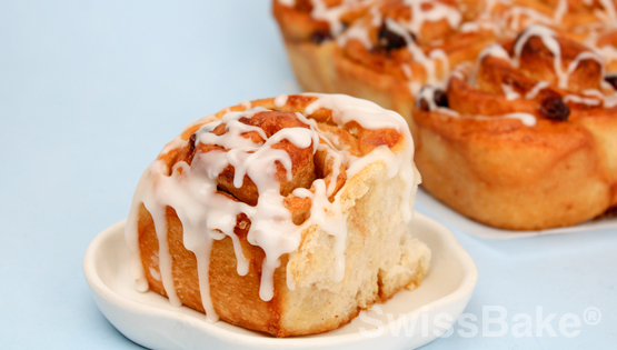 Cranberry Sourdough Cinnamon Bread Recipe